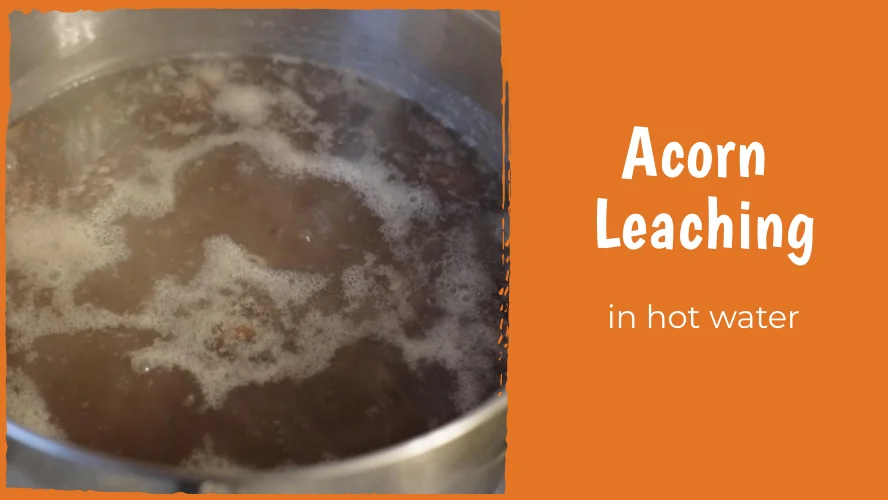 Hot leaching acorns in a pot