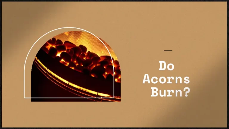 Acorns burning in a stove