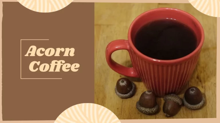 Fresh acorn coffee in a cup