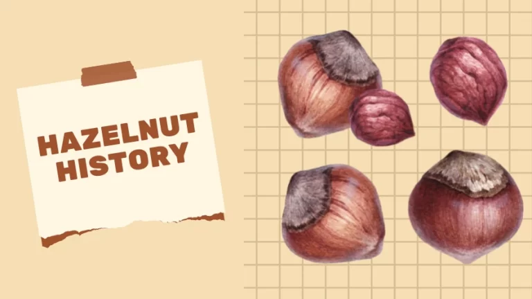 Hazelnuts on a history board