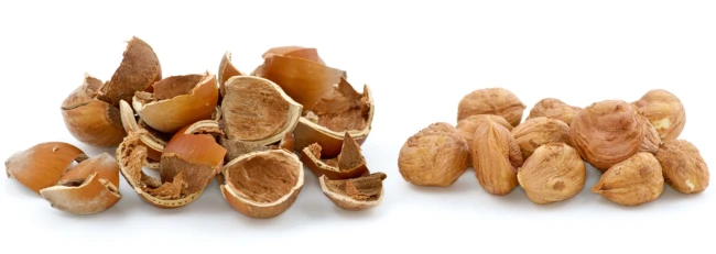 Hazelnut kernels separated from broken shells
