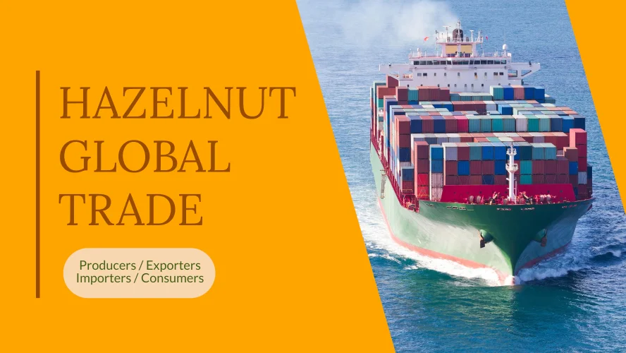 A cargo ship transporting hazelnuts