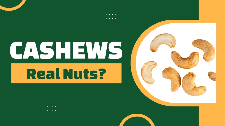 Cashews in the background and the question if they are real nuts