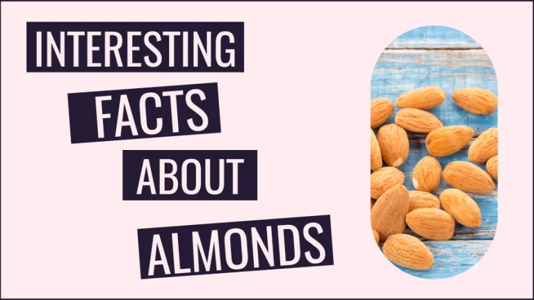 Almonds on a table with an interesting facts title