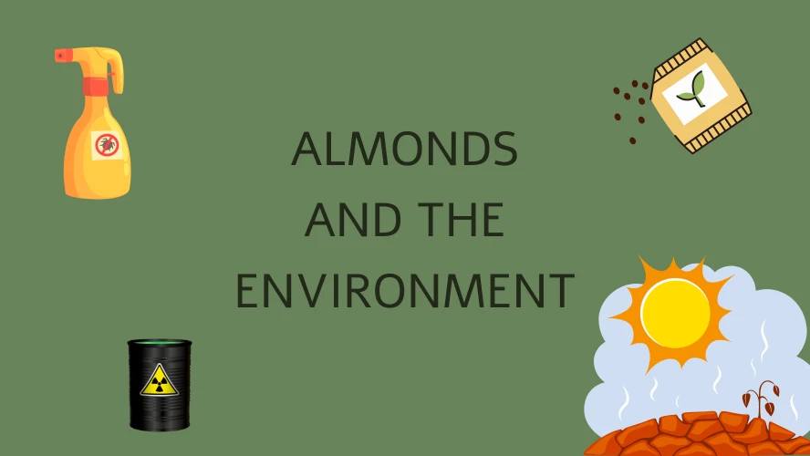 Environmental consequences of almond farming